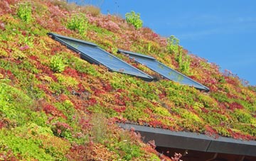 Whitley Reed living roof systems